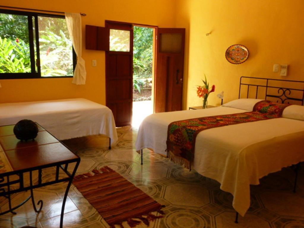 The Flycatcher Inn Retreat Hotel Santa Elena Rom bilde