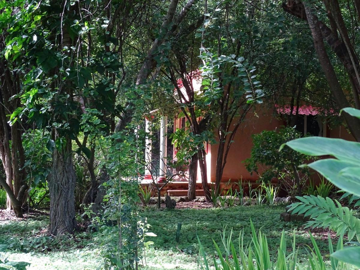 The Flycatcher Inn Retreat Hotel Santa Elena Eksteriør bilde