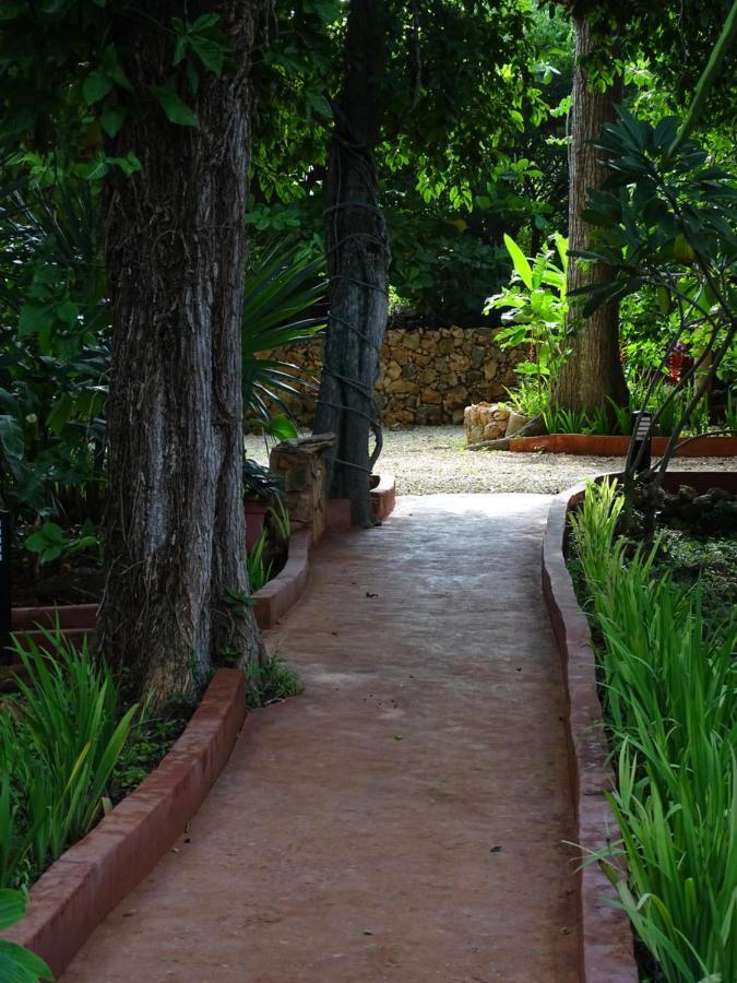 The Flycatcher Inn Retreat Hotel Santa Elena Eksteriør bilde